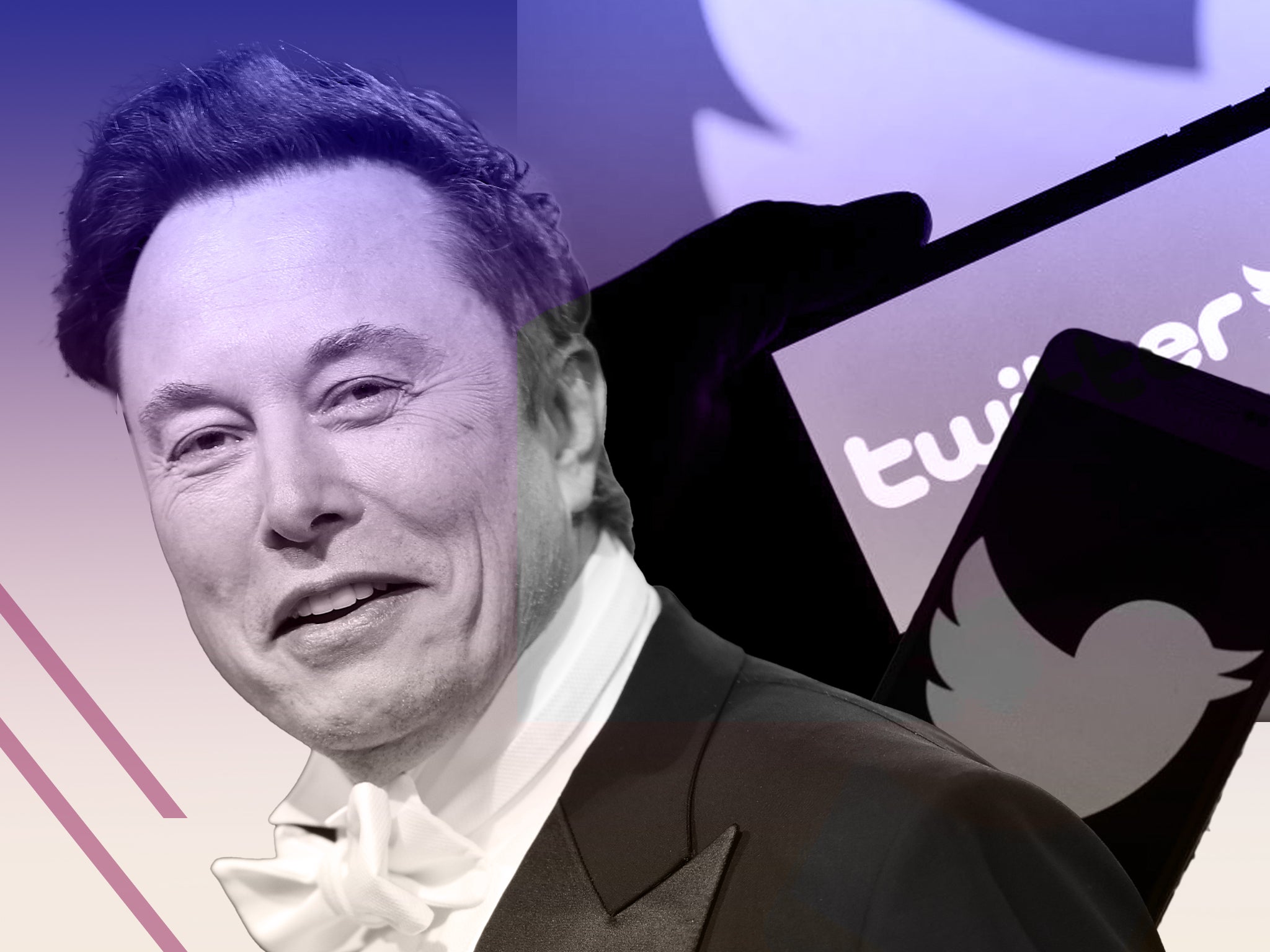 Twitter Chaos: Elon Musk Dismantles Its Trust And Safety Advisory Group ...